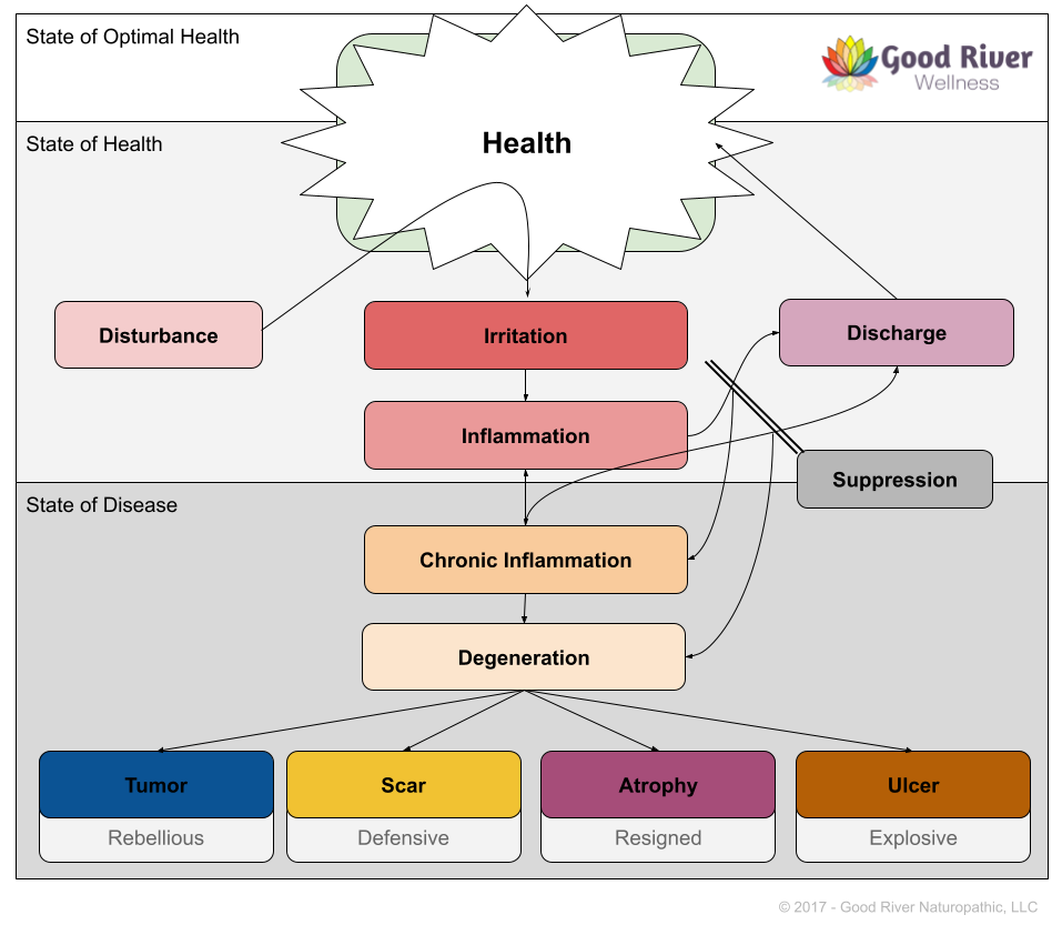 The Naturopathic Model of Health